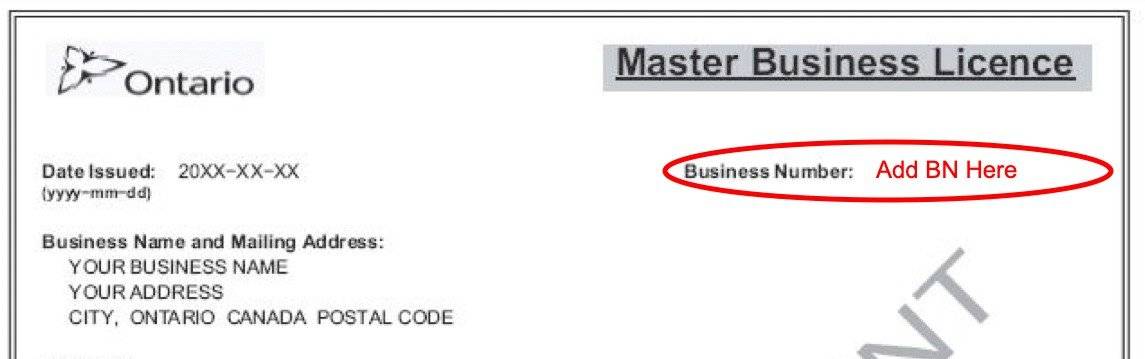 master business license number ontario